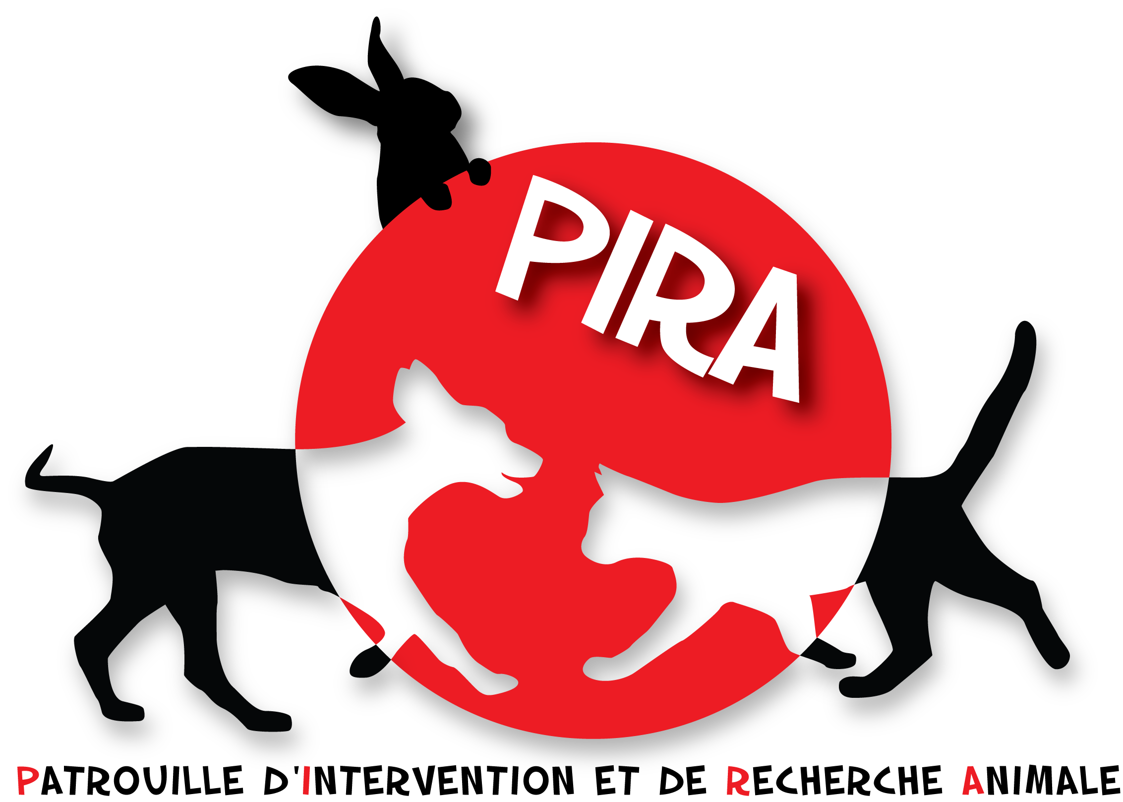 Site web Associatif - Association Pira Mulhouse